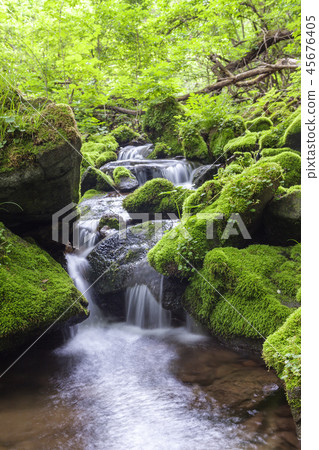 Gangwon-do, Korea, Taebaek, Sangdong, Moss Valley 45676405