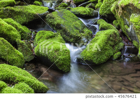Gangwon-do, Korea, Taebaek, Sangdong, Moss Valley 45676421