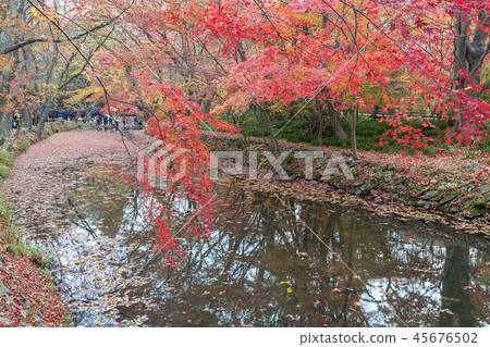 Jeollabuk-do, Korea, Gochang, Seonunsa Jeollabuk-do, Korea, Gochang, Seonunsa 45676502