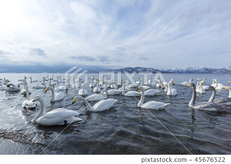 海外, 日本, 北海道, 屈斜路湖, 阿寒, 國立公園 45676522