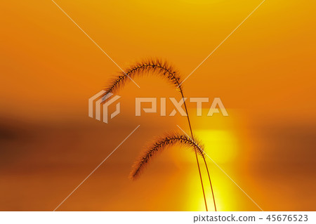 韓國仁川江華島 45676523