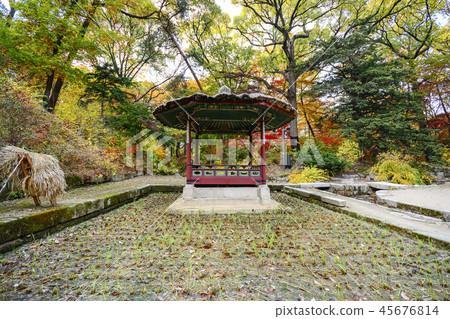 首爾，韓國，紫禁城，昌德宮 45676814