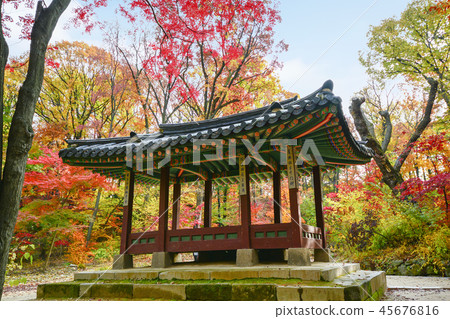 首爾，韓國，紫禁城，昌德宮 45676816