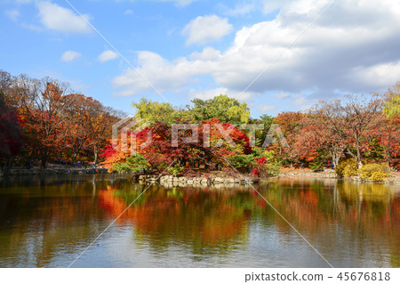 首爾，韓國，紫禁城，昌德宮 45676818