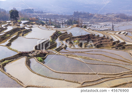 Overseas, China, Yunnan Province, Mandarin Duck Festival Overseas, China, Yunnan Province, Mandarin Duck Festival 45676900