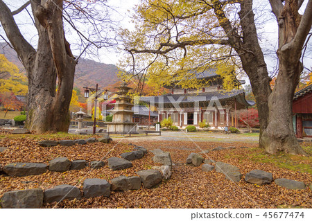 Chungcheongnam-do, Korea, Buyeo, Muryangsa 45677474