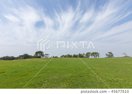 Jeju Island, Korea, Seogwipo, Grassland Jeju Island, Korea, Seogwipo, Grassland 45677810