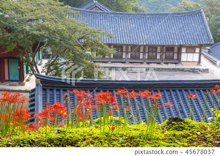 Jeollabuk-do, Korea, Gochang, Seonunsa 45678037