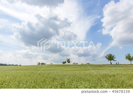 Jeollabuk-do, Korea, Gochang, Hakwon Farm Jeollabuk-do, Korea, Gochang, Hakwon Farm 45678139