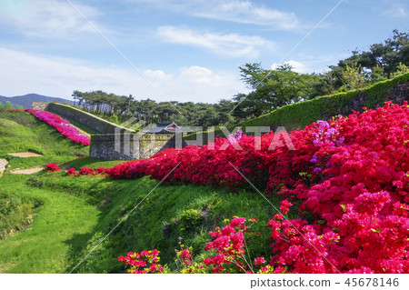 Jeollabuk-do, Korea, Gochang, Gochang-eup 45678146