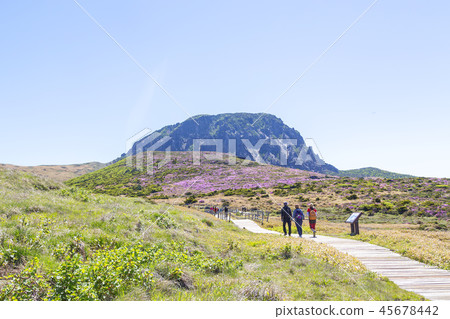 韓國濟州島,漢拏山 韓國濟州島,漢拏山 45678442