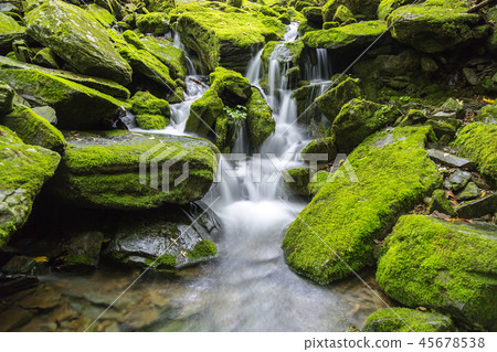 Gangwon-do, Korea, Taebaek, Sangdong, Moss Valley 45678538