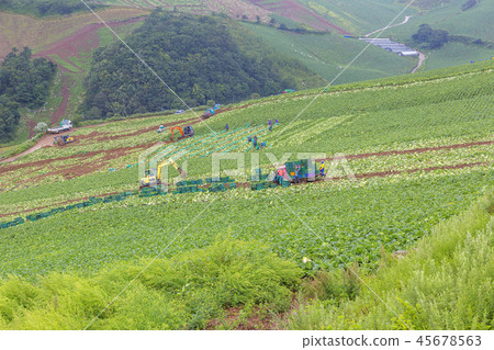 韓國江原道太白梅峰山 45678563