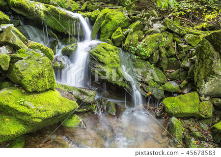 Gangwon-do, Korea, Taebaek, Sangdong, Moss Valley Gangwon-do, Korea, Taebaek, Sangdong, Moss Valley 45678583