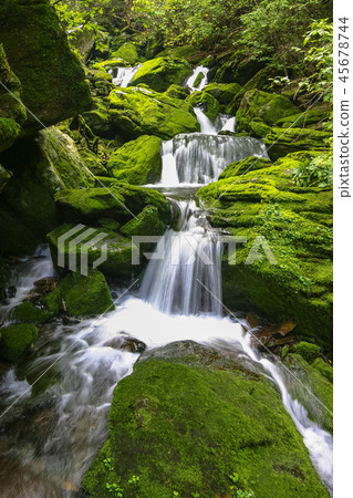 Gangwon-do, Korea, Kangwangsan, burang, mossy valley 45678744