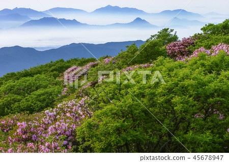 韓國全羅北道德裕山 韓國全羅北道德裕山 45678947
