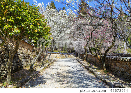 Jeollanam-do, Korea, Suncheon, Sun-am 45678954