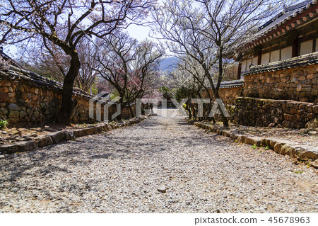 Jeollanam-do, Korea, Suncheon, Sun-am Jeollanam-do, Korea, Suncheon, Sun-am 45678963