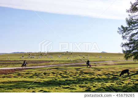 China, Xinjiang Province, Paricun Grassland China, Xinjiang Province, Paricun Grassland 45679265