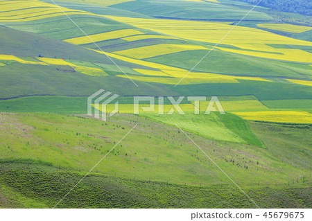 中國, 青海省, 青海省, 祁連縣, 卓爾山 中國, 青海省, 青海省, 祁連縣, 卓爾山 45679675
