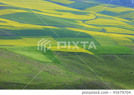 中國, 青海省, 青海省, 祁連縣, 卓爾山 中國, 青海省, 青海省, 祁連縣, 卓爾山 45679704