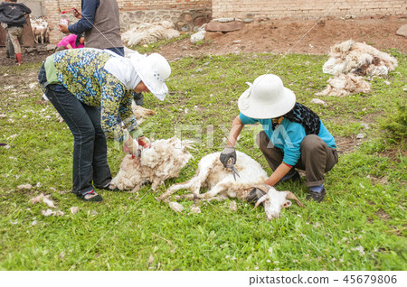 China, Qinghai Province, Qinghai Province, Qilian County, Wenyuan China, Qinghai Province, Qinghai Province, Qilian County, Wenyuan 45679806