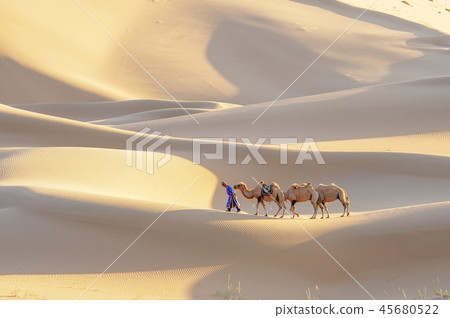 China, Inner Mongolia Autonomous Region, Alashan, Badan Desert 45680522