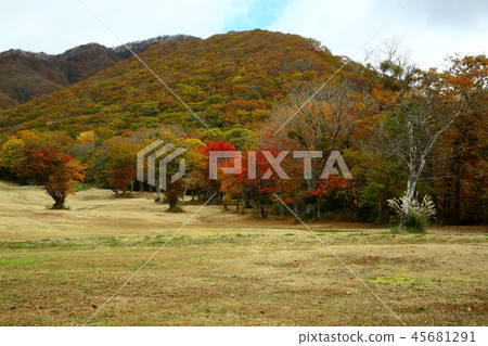 Autumn Oyama ski ground Autumn Oyama ski ground 45681291