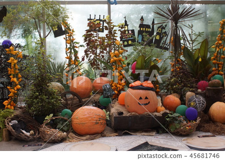 萬聖節裝飾植物 萬聖節裝飾植物 45681746