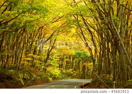 秋天Daisen地平線 45681913