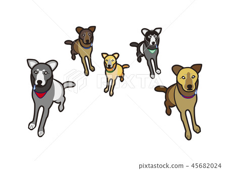 Multi-headed 45682024