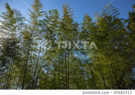 Takeyama香川縣Manno公園在西部太陽 45682313