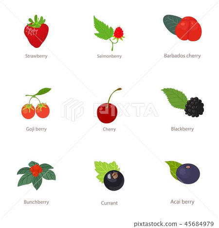 Forest berry icons set, cartoon style 45684979