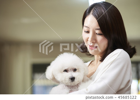 Life, Woman, Adult, Dog, Korean 45685122