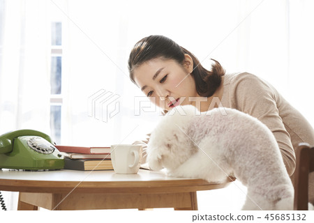 Life, Woman, Adult, Dog, Korean Life, Woman, Adult, Dog, Korean 45685132