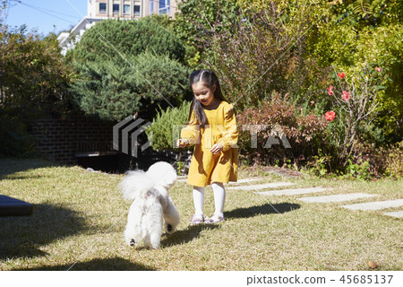 Puppy, girl, korean Puppy, girl, korean 45685137