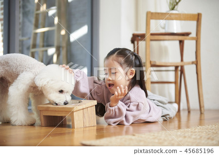 Puppy, girl, korean Puppy, girl, korean 45685196