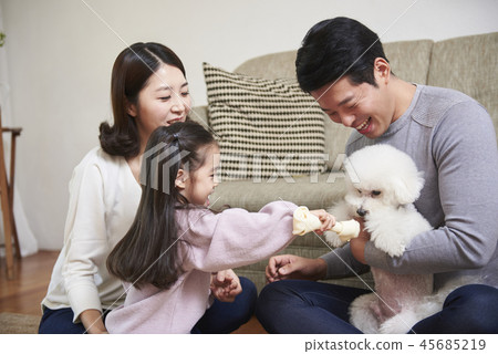Family, Dad, Mom, Daughter, Puppy, Korean 45685219