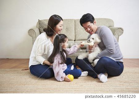 Family, Dad, Mom, Daughter, Puppy, Korean 45685220
