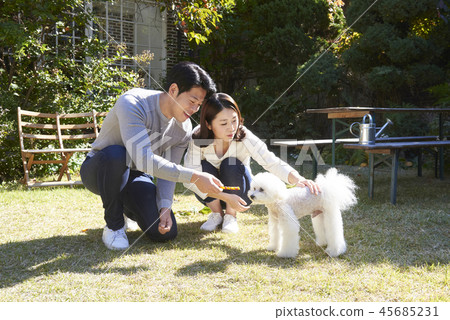 Family, Couples, Couples, Koreans Family, Couples, Couples, Koreans 45685231