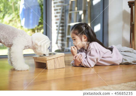 Puppy, girl, korean 45685235