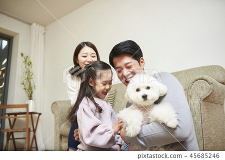 家庭，爸爸，媽媽，女兒，小狗，韓國人 45685246