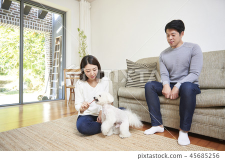 Family, Couples, Couples, Koreans Family, Couples, Couples, Koreans 45685256