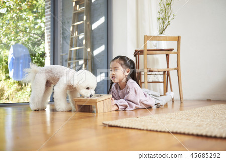 Puppy, girl, korean 45685292