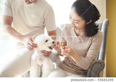 Family, Couples, Couples, Koreans Family, Couples, Couples, Koreans 45685294