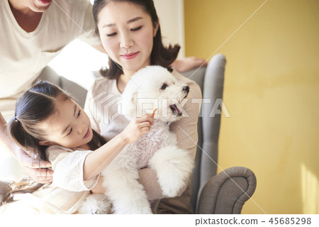 Family, Dad, Mom, Daughter, Puppy, Korean Family, Dad, Mom, Daughter, Puppy, Korean 45685298