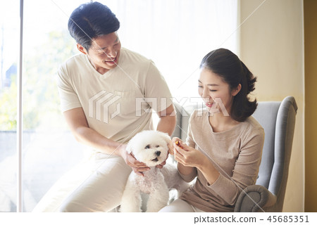 Family, Couples, Couples, Koreans Family, Couples, Couples, Koreans 45685351