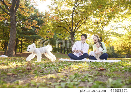 Family, Dad, Mom, Daughter, Puppy, Korean Family, Dad, Mom, Daughter, Puppy, Korean 45685371