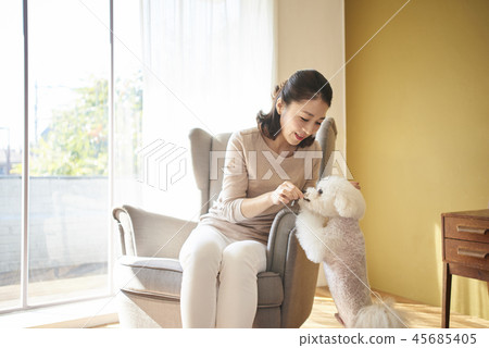 Life, Woman, Adult, Dog, Korean Life, Woman, Adult, Dog, Korean 45685405