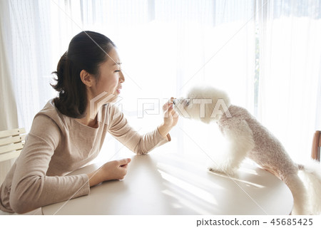 Life, Woman, Adult, Dog, Korean 45685425
